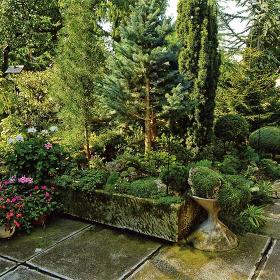 Виды и сорта хвойников: лучшие для ландшафтного дизайна в саду на даче | luchistii-sudak.ru