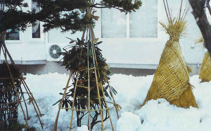 Каркас для укрытия растений на зиму 50 см